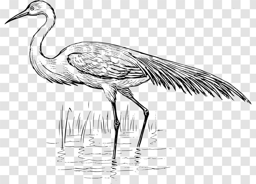 Heron Bird Crane Egret Clip Art - Line - Solar Term Transparent PNG