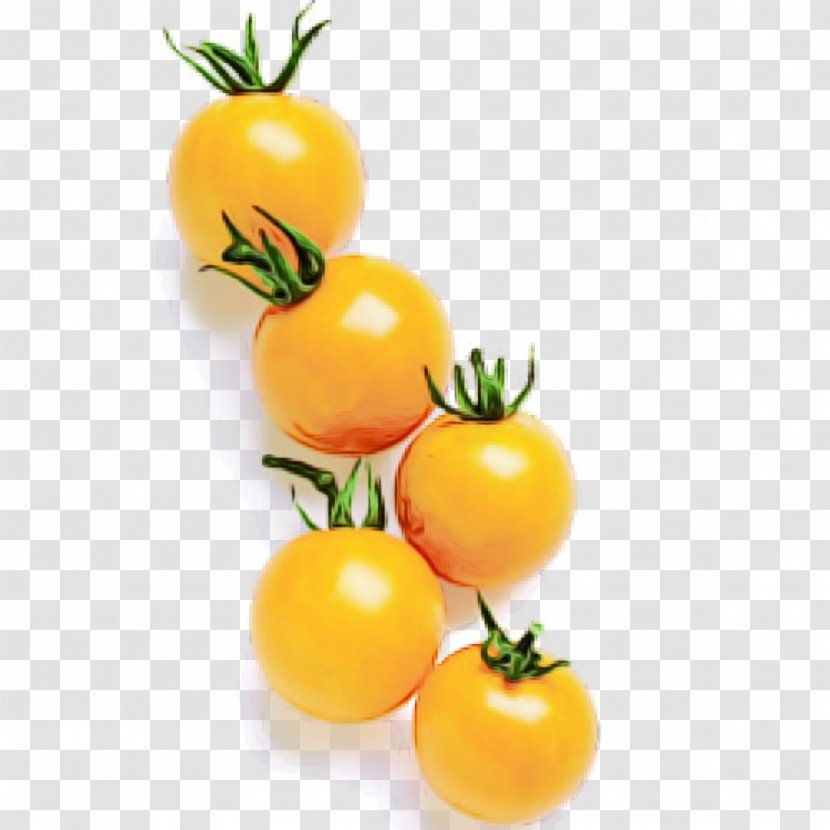 Tomato - Watercolor - Plant Plum Transparent PNG