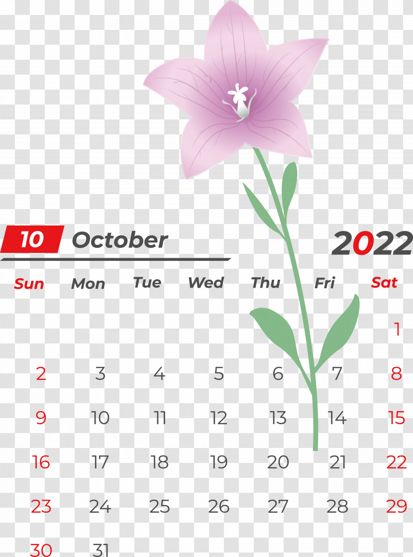 Flower Calendar Petal Font Meter Transparent PNG