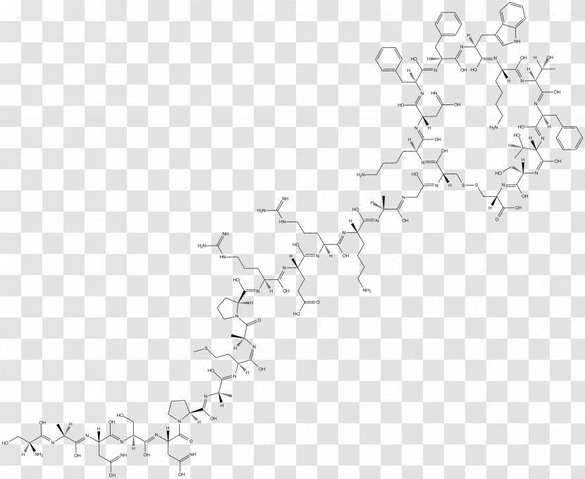 Point Line Art Angle Font - Text - Agonist Receptor Transparent PNG