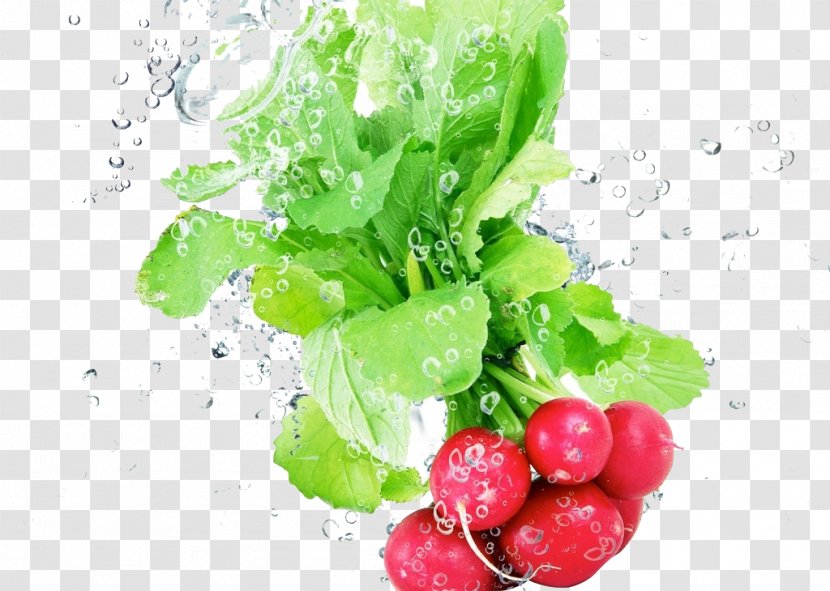Amazing Vegetables Fruit Gundruk Wallpaper - Bell Pepper - Water Cherries Transparent PNG