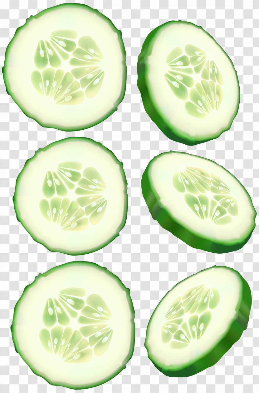 Cucumber Clip Art - Cucumis Transparent PNG