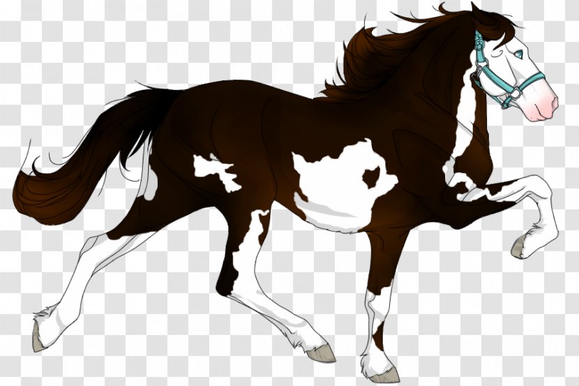 Foal Stallion Mane Mustang Mare - Animal Figure - Morning Dew Transparent PNG