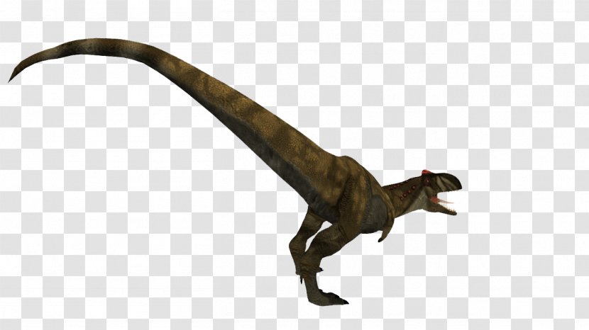 Tylosaurus Rajasaurus Wiki Rugops Mosasaur - Lizard Transparent PNG