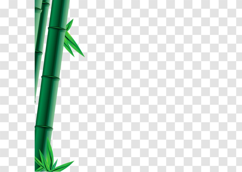 Bambusa Oldhamii Bamboo Bamboe Computer File - Triangle - Green Transparent PNG