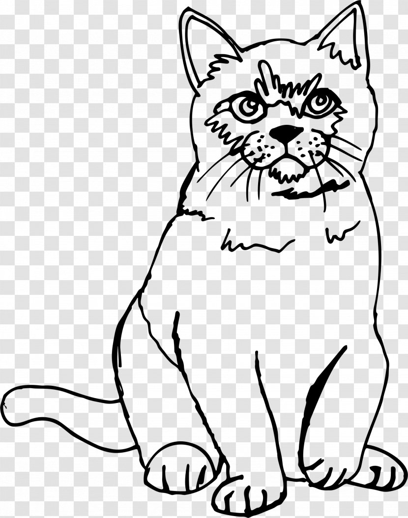Kitten Sphynx Cat Drawing Line Art Sketch Transparent PNG