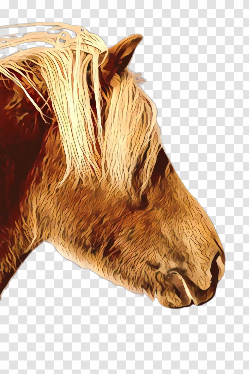 Mustang Mane Halter Snout Naturism - Liver - Stallion Livestock Transparent PNG
