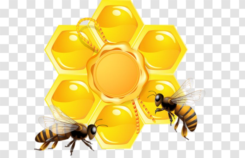 Bee Honeycomb - Royaltyfree Transparent PNG