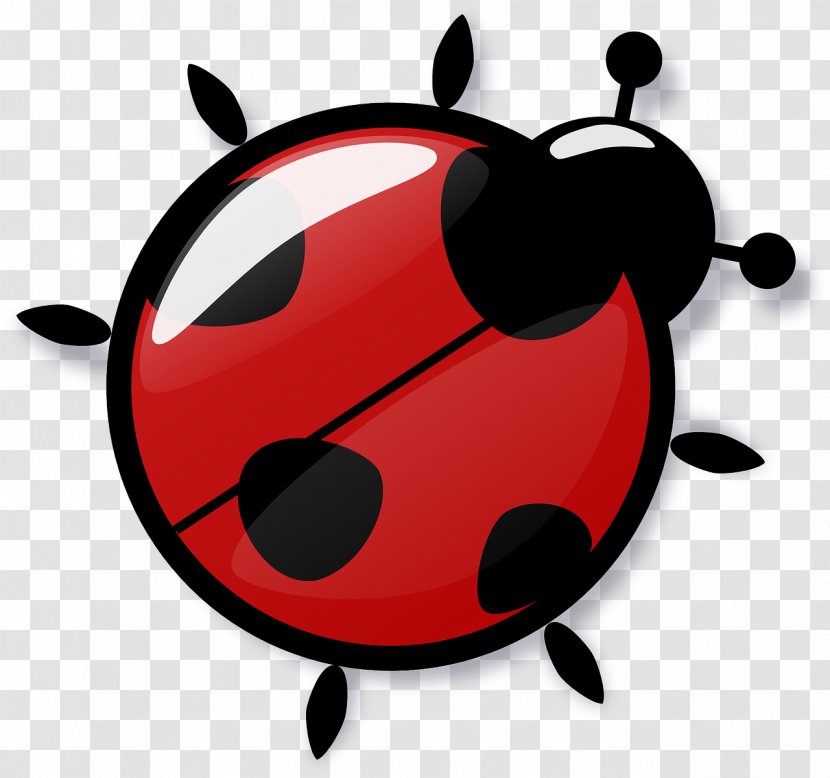 Insect Cockroach Ladybird Clip Art - Bugs Transparent PNG