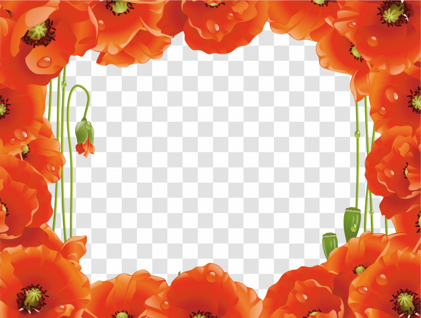 Poppy Frame Flower Frame Floral Frame Transparent PNG