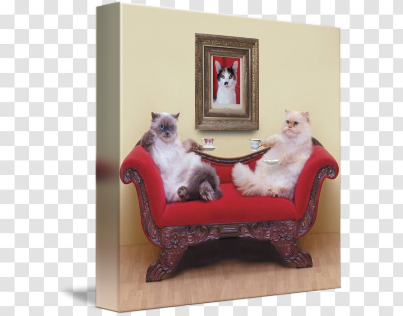 Cat Poster Kitten Tea Art - Catdog Transparent PNG