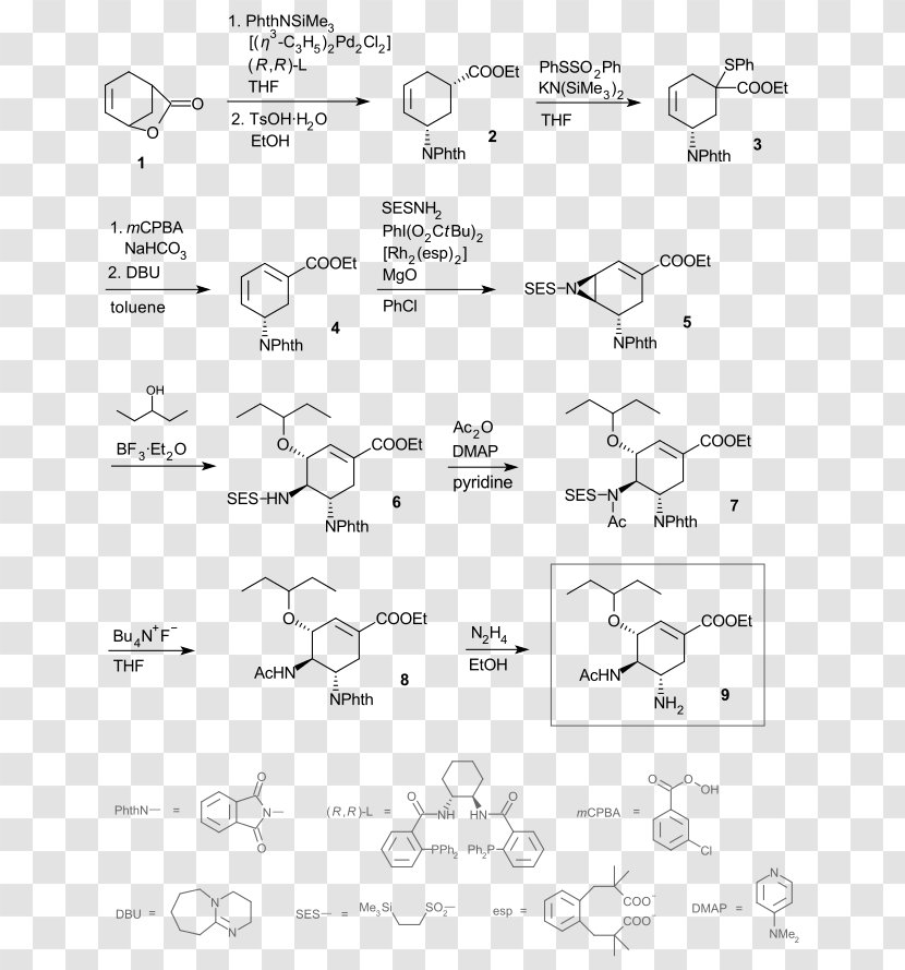 Oseltamivir Total Synthesis Chemical Chemistry - Area - Nevada State Route 447 Transparent PNG