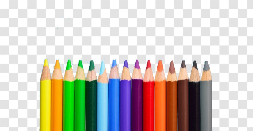 Coloring Book Colored Pencil Rainbow - Adult - Pencils In A Row Transparent PNG
