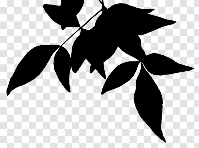 Black & White - Branch - M Silhouette Flower Leaf Transparent PNG