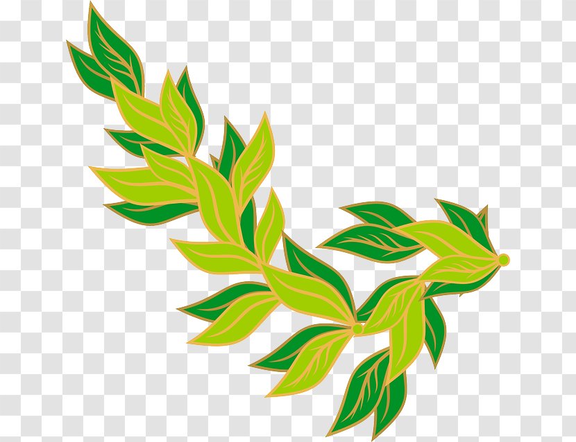 Bay Leaf Laurel Wreath Clip Art - Royaltyfree - Green Border Transparent PNG