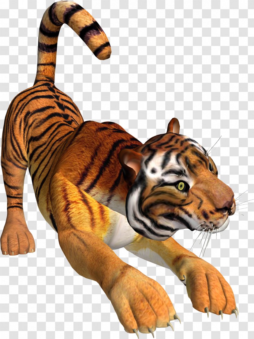 Tiger Lion Presentation Clip Art - Photography - 3d Transparent PNG