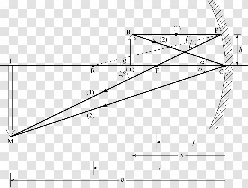 Ray Curved Mirror Concave Function Drawing Triangle - Tree Transparent PNG