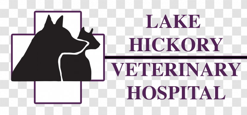 Lake Hickory Veterinary Hospital Veterinarian Dog Pet - Boulevard - Logo Transparent PNG