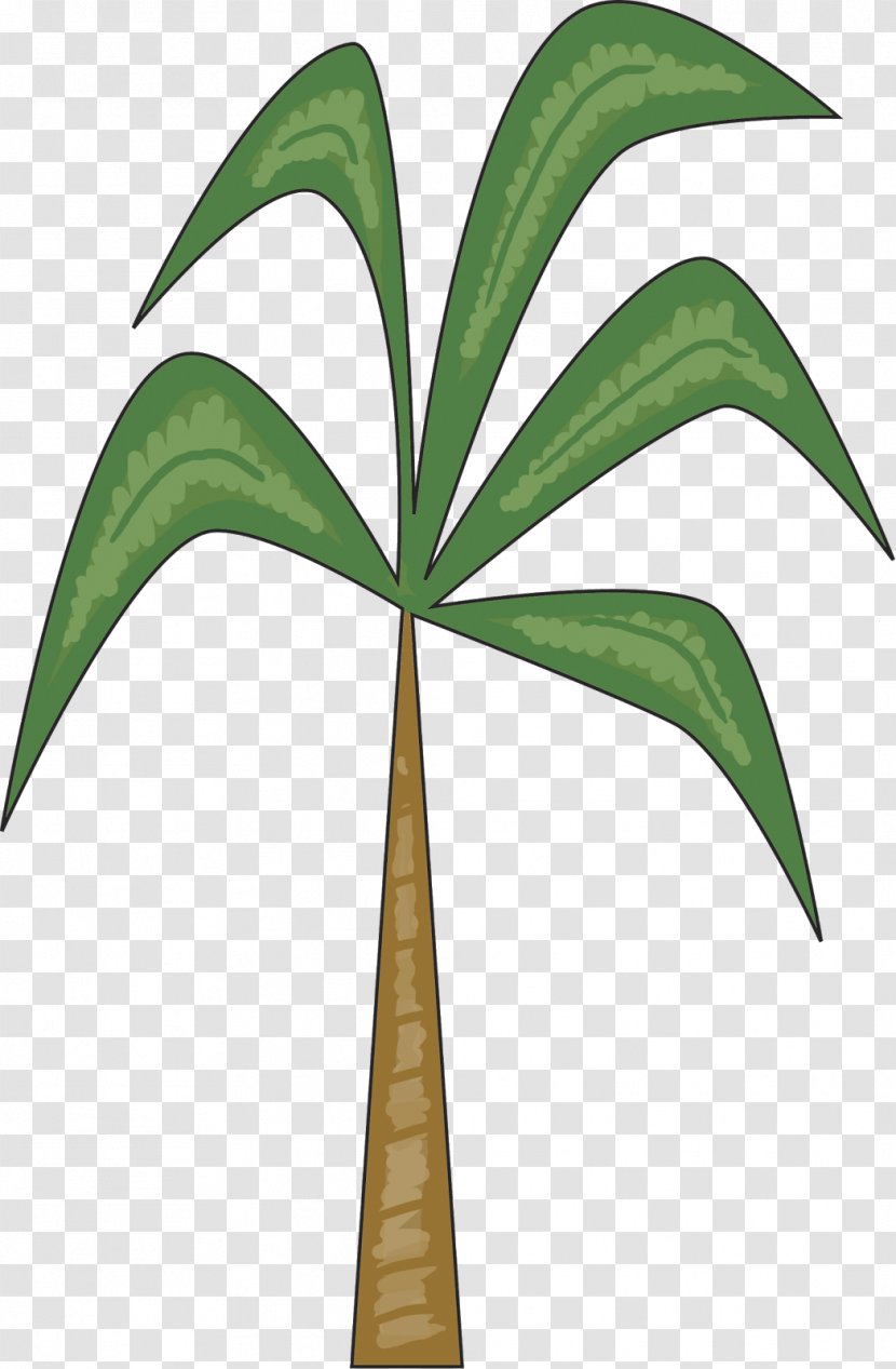Arecaceae Leaf Plant Stem Tree - Chicka Boom Transparent PNG