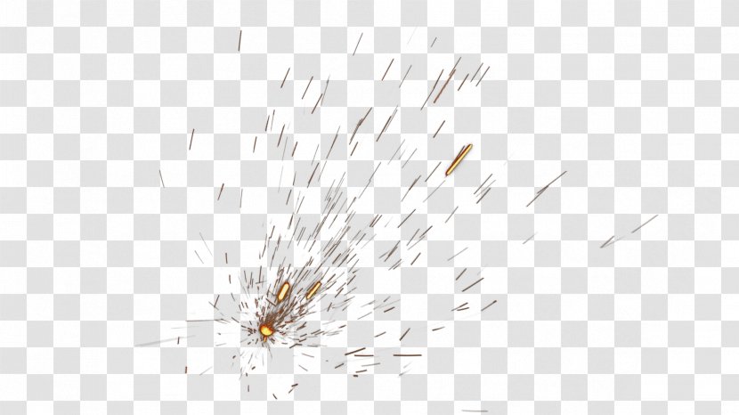Branch Tree Twig Desktop Wallpaper Grasses - Bullet Holes Transparent PNG