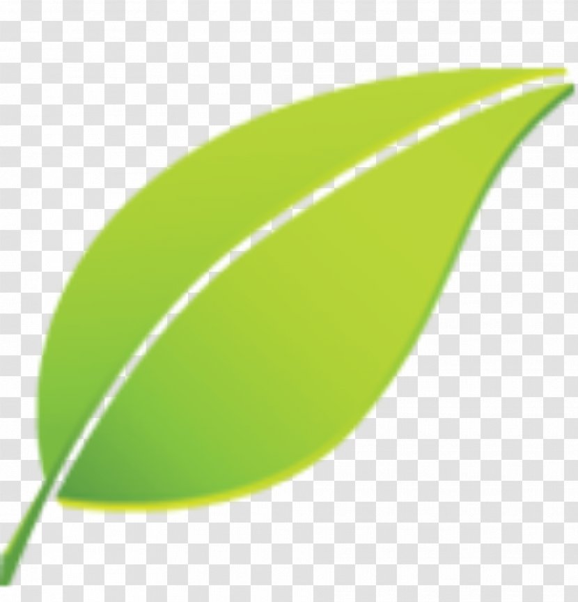 Leaf Plant - Green Transparent PNG