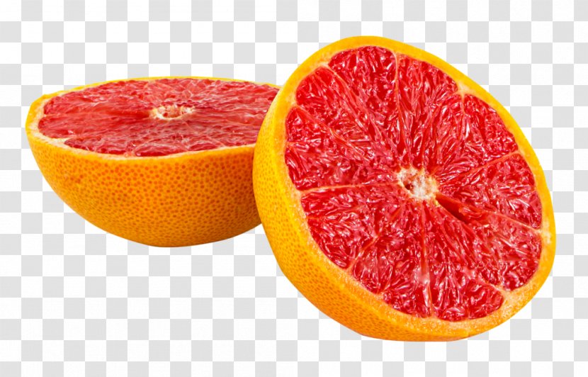 Grapefruit Juice Tangelo Tangerine - Rangpur - Coconut Tree Transparent PNG