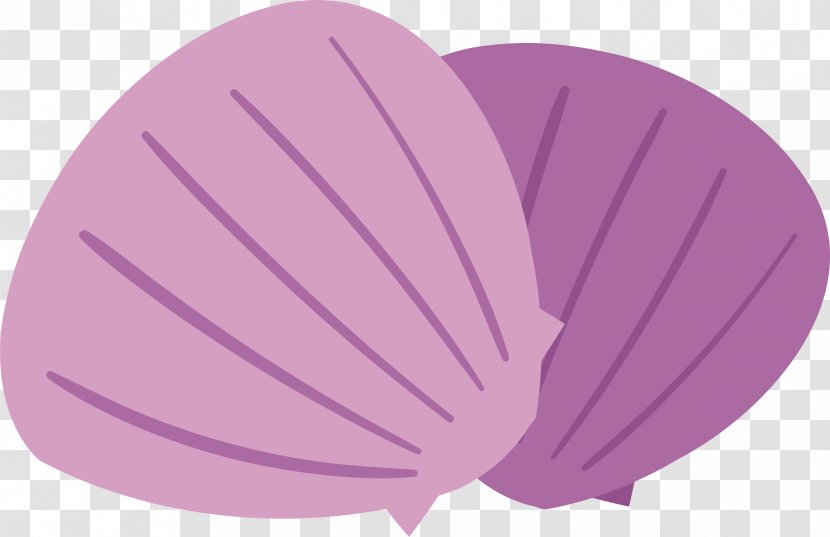 Euclidean Vector - Magenta - Purple Shell Transparent PNG
