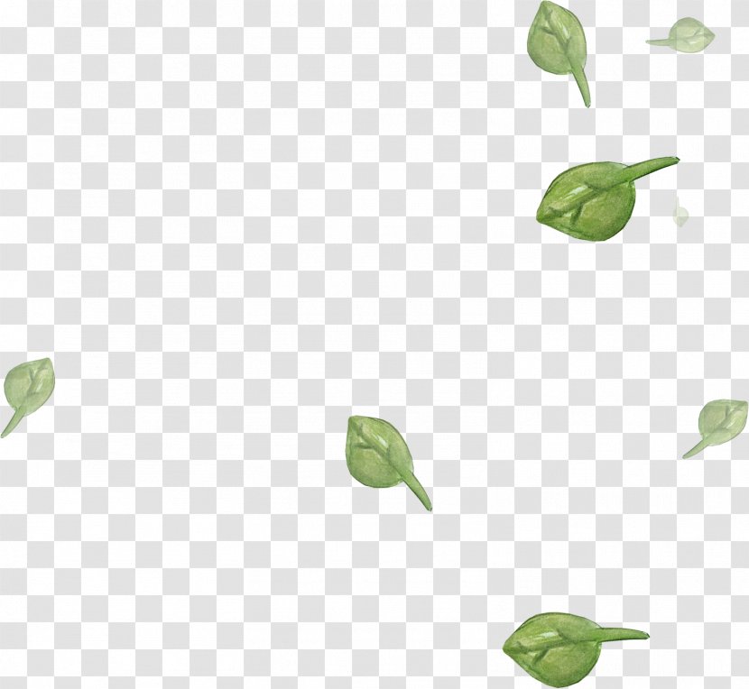 Leaf Green Color Clip Art - Nature - Lawn Decoration Transparent PNG