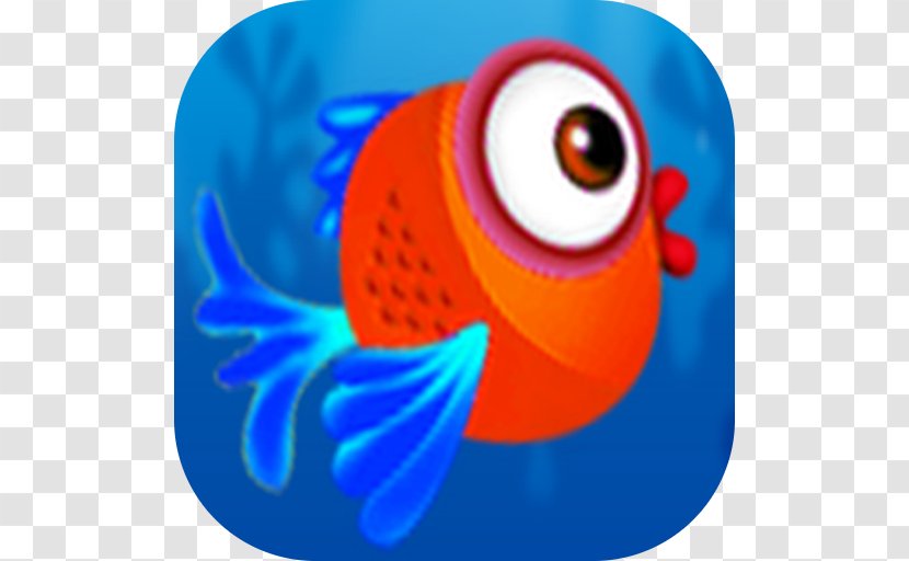 Beak Macaw Marine Biology Desktop Wallpaper - Vertebrate - Flippers Amazon Transparent PNG