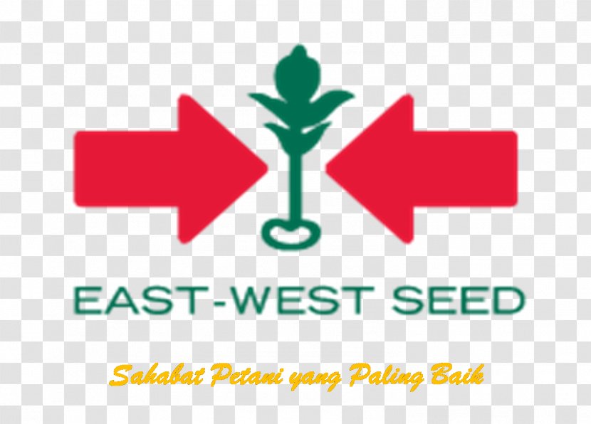 - East-West Seed East West Seeds India Private Limited Aurangabad Company, Inc. - Tree - Kangkung Transparent PNG