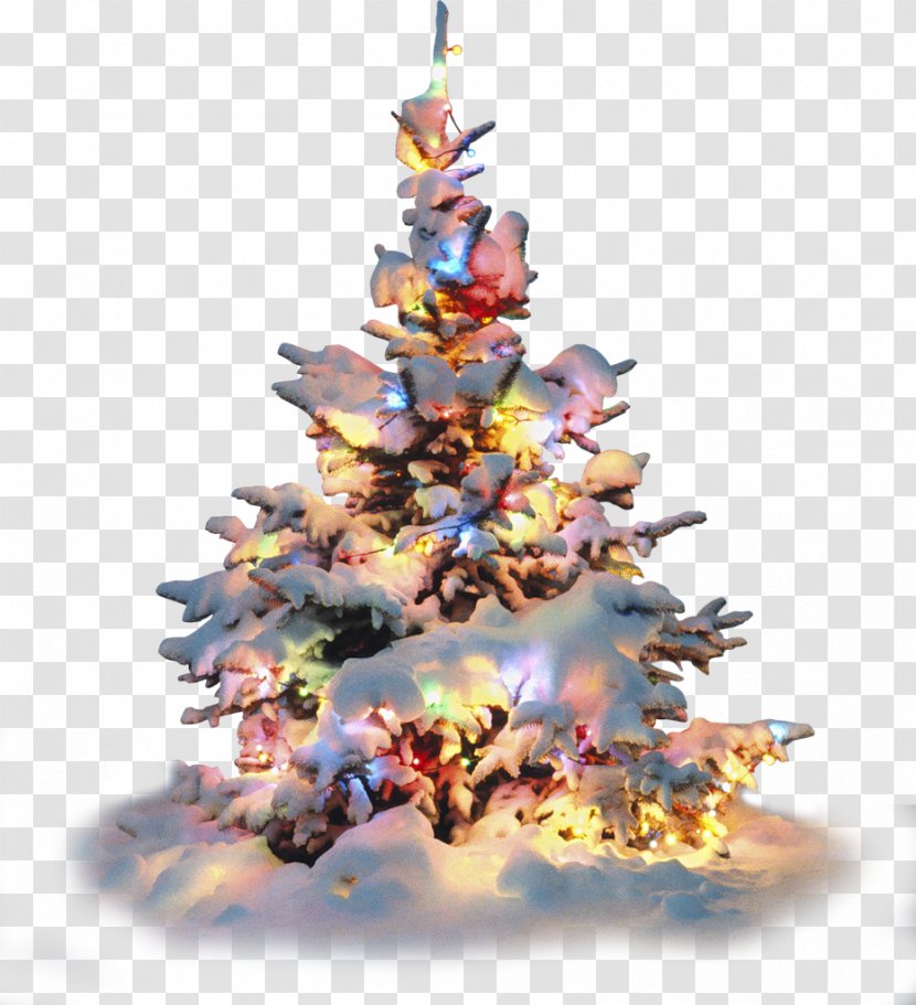 Artificial Christmas Tree Lights Decoration Transparent PNG