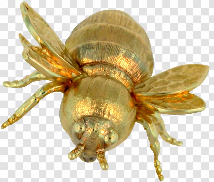 Western Honey Bee Insect Clip Art Transparent PNG