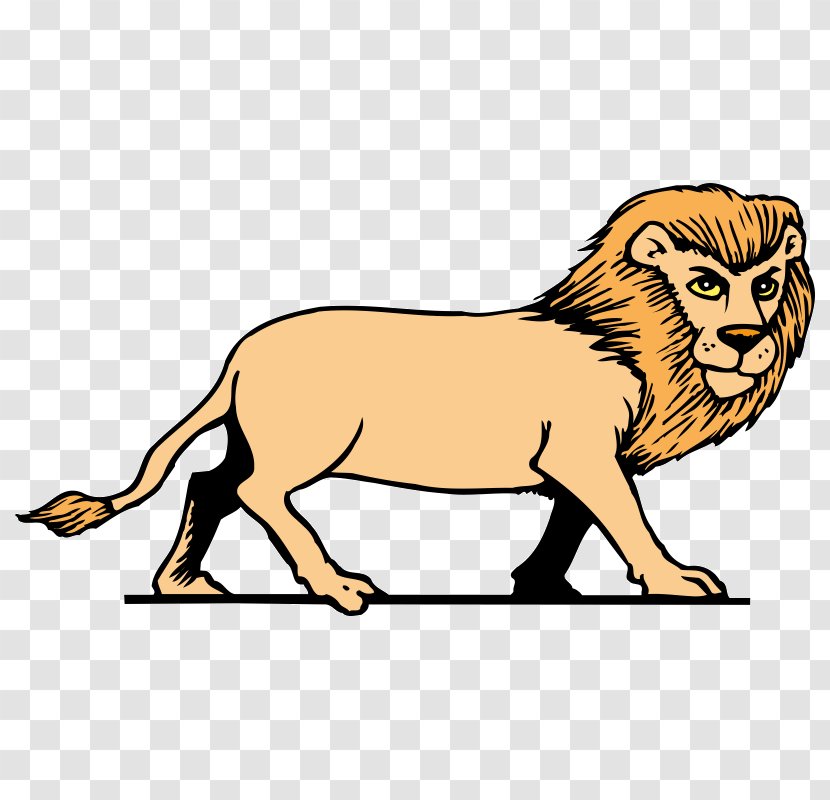 Lion Roar Clip Art - Puma Transparent PNG