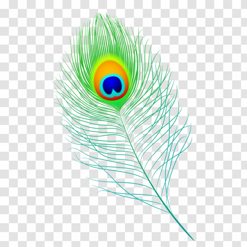 Feather Peafowl Clip Art - Vertebrate Transparent PNG