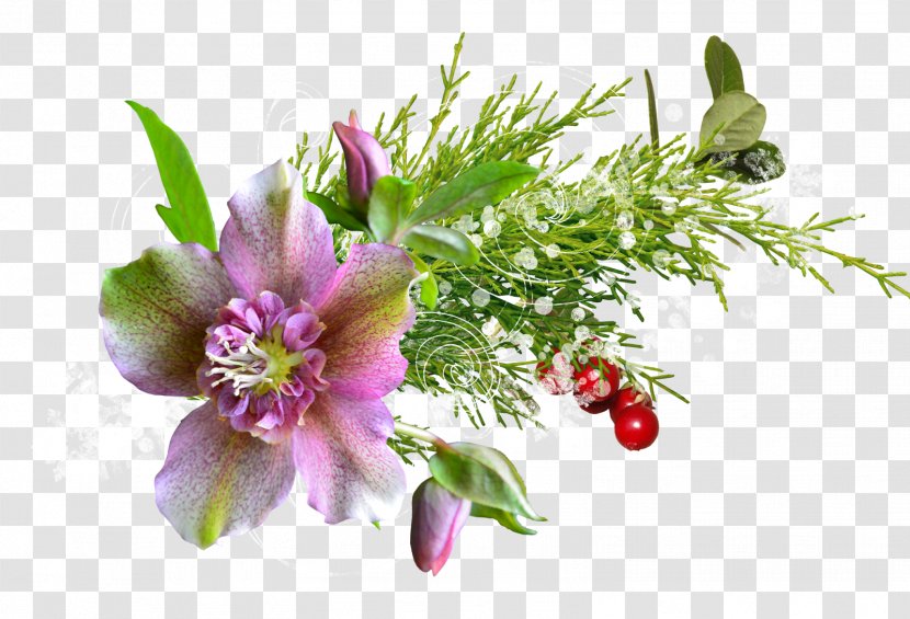 PhotoScape Flower Clip Art - Floral Design - Osmanthus Transparent PNG