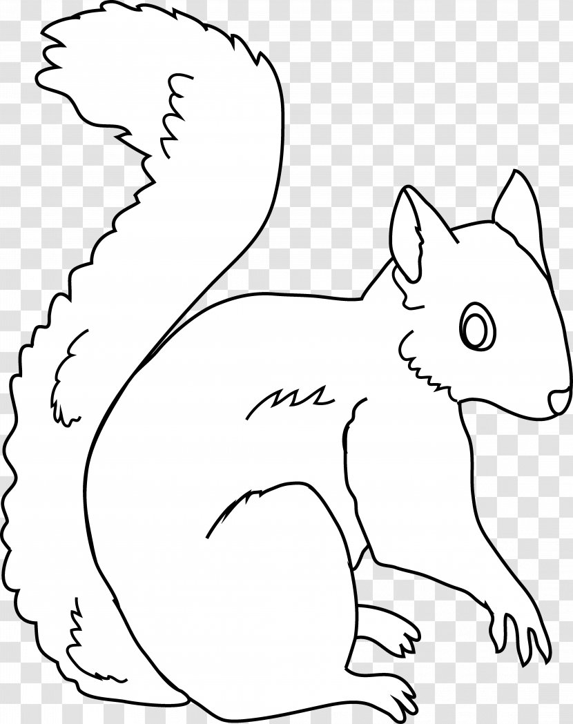 Squirrel Free Content Clip Art - Blog - Pic Transparent PNG