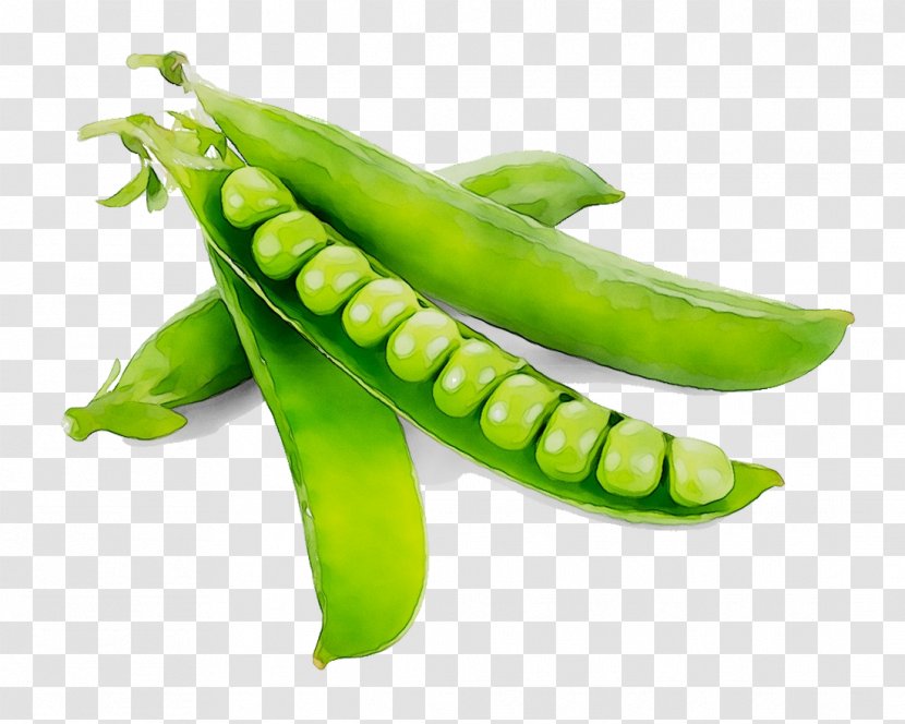 Snap Pea Serrano Pepper Bird's Eye Chili Cayenne Vegetarian Cuisine - Green Bean Transparent PNG