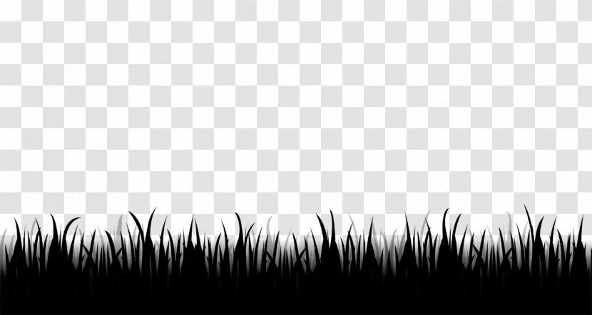 Desktop Wallpaper Computer Grasses Tree Sky - Blackandwhite - Plant Transparent PNG