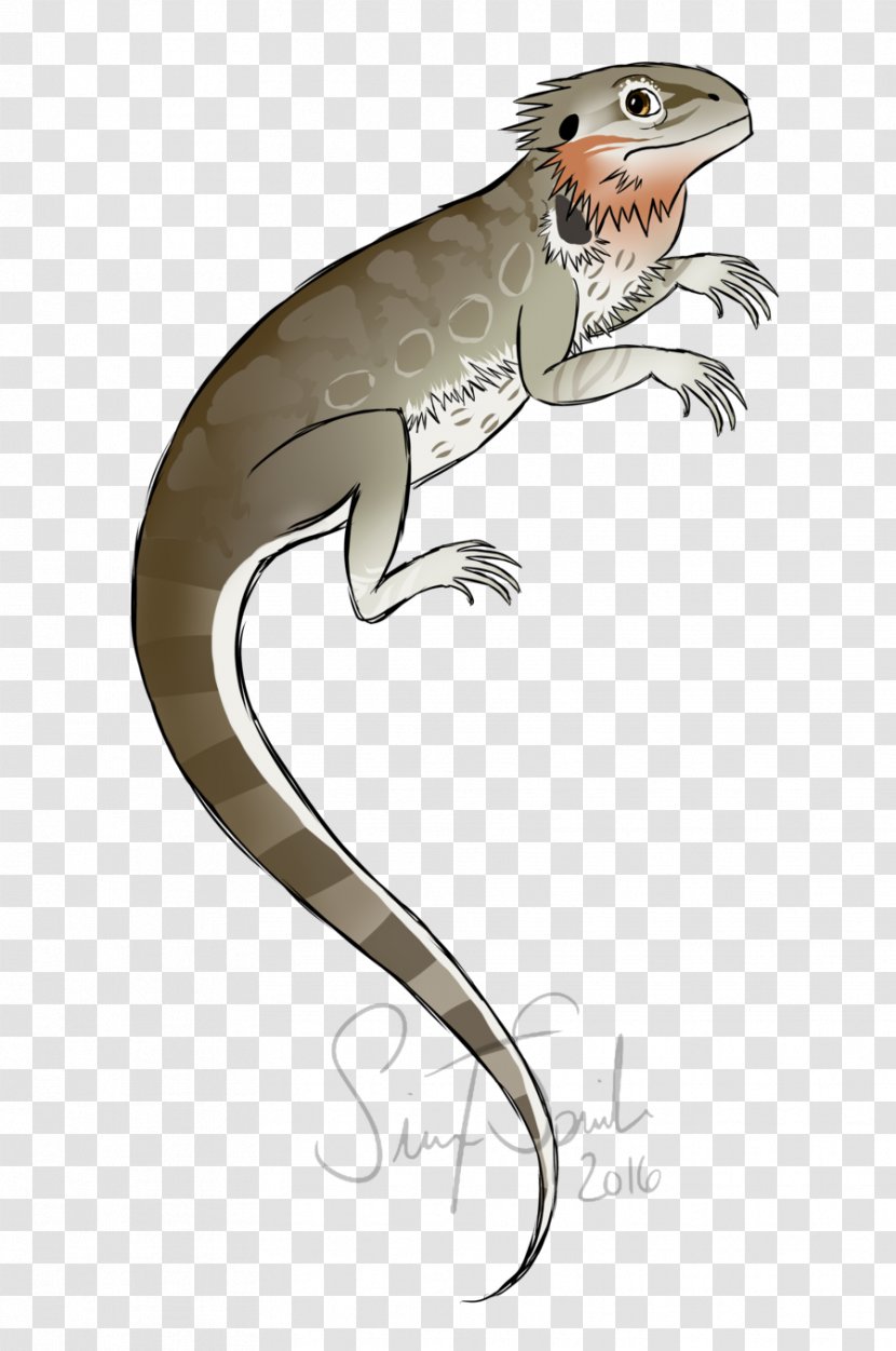 Lizard Reptile Amphibian Fauna Tail - Vertebrate Transparent PNG