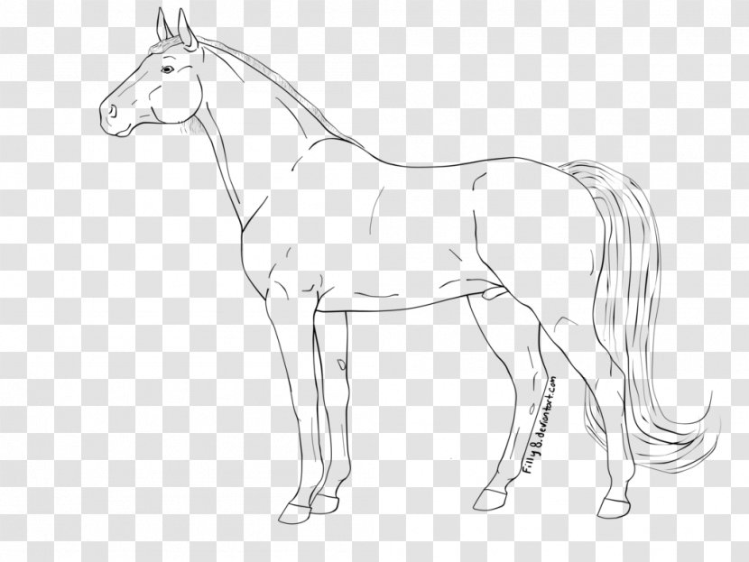 Mustang Pony Line Art Foal Star Stable - Animal Figure Transparent PNG