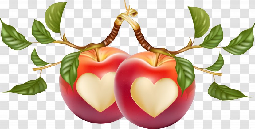 Heart-shaped Apple Vector - Heart - Fruit Transparent PNG