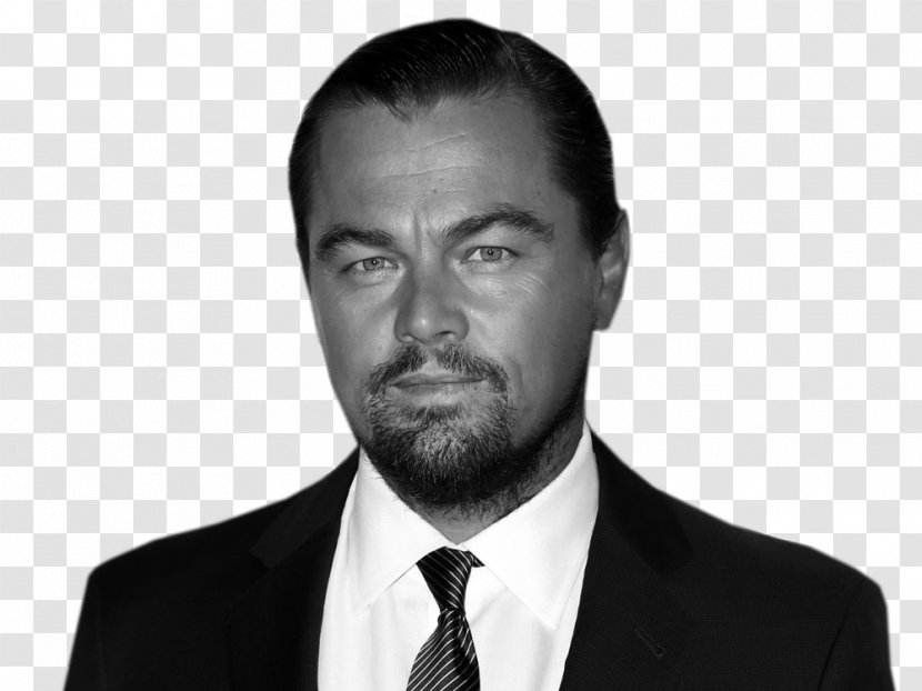 Leonardo DiCaprio Django Unchained Actor Film Director Producer - Beard Transparent PNG