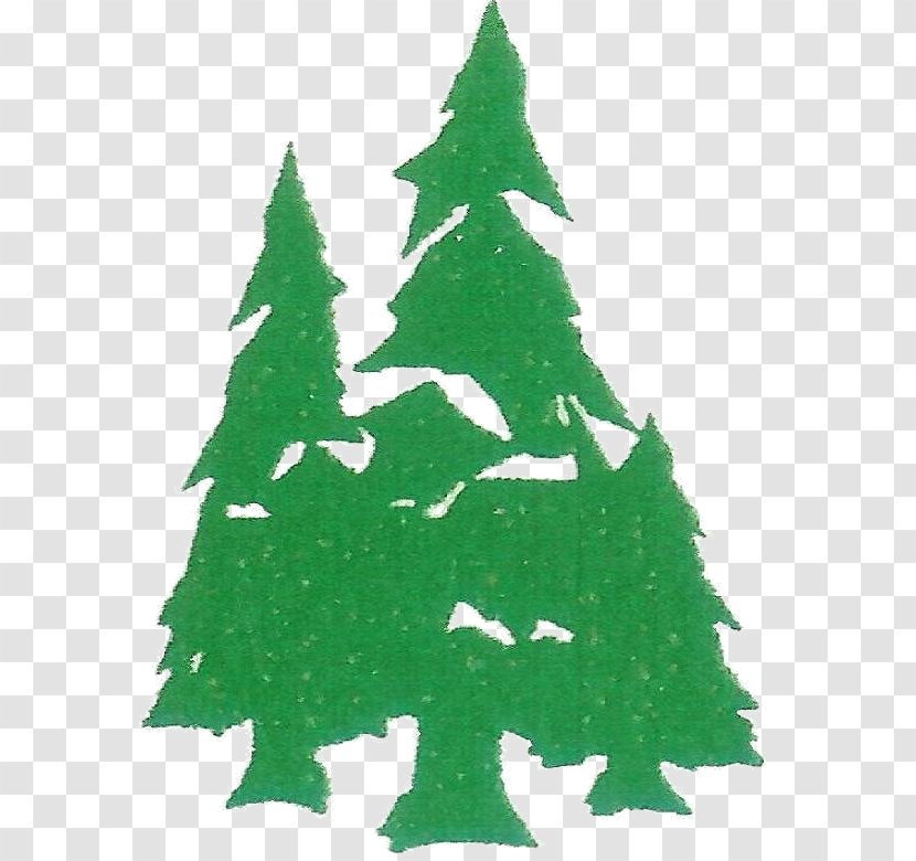 Christmas Tree Spruce Social Media Fir Transparent PNG