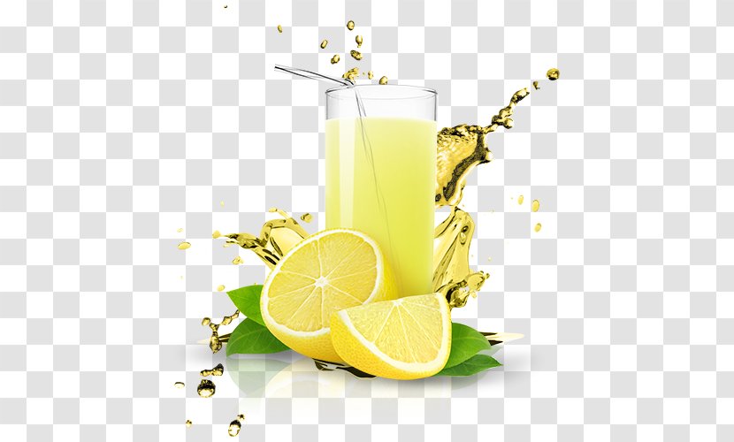 Cranberry Juice Lemonade Fizzy Drinks Gyro - Cocktail Garnish Transparent PNG