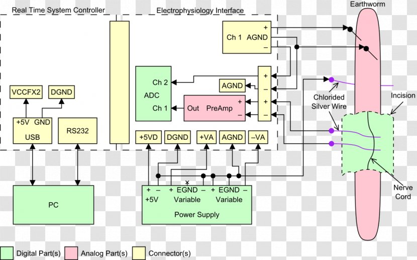 Floor Plan Line - Design Transparent PNG