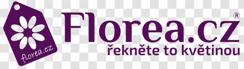 PlnáPeněženka.cz Czech Republic Business Quantity Surveyor Logo - Violet - Pay Day Transparent PNG