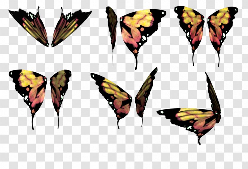 Nymphalidae Butterfly Moth Insect Drawing - Monarch Transparent PNG