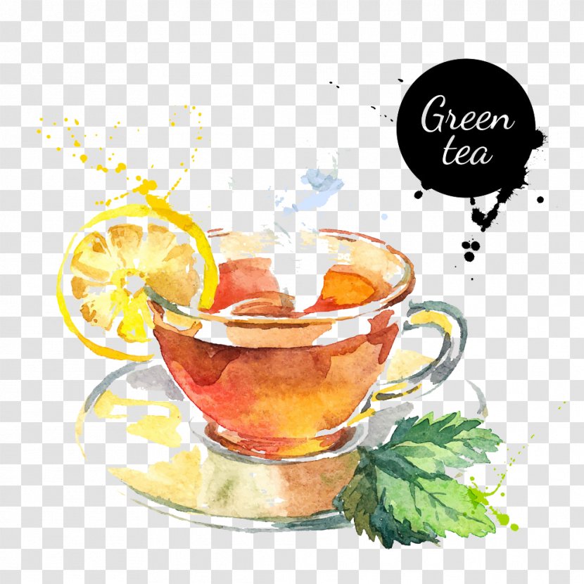 Green Tea Watercolor Painting Drawing - Food - Lemon Transparent PNG