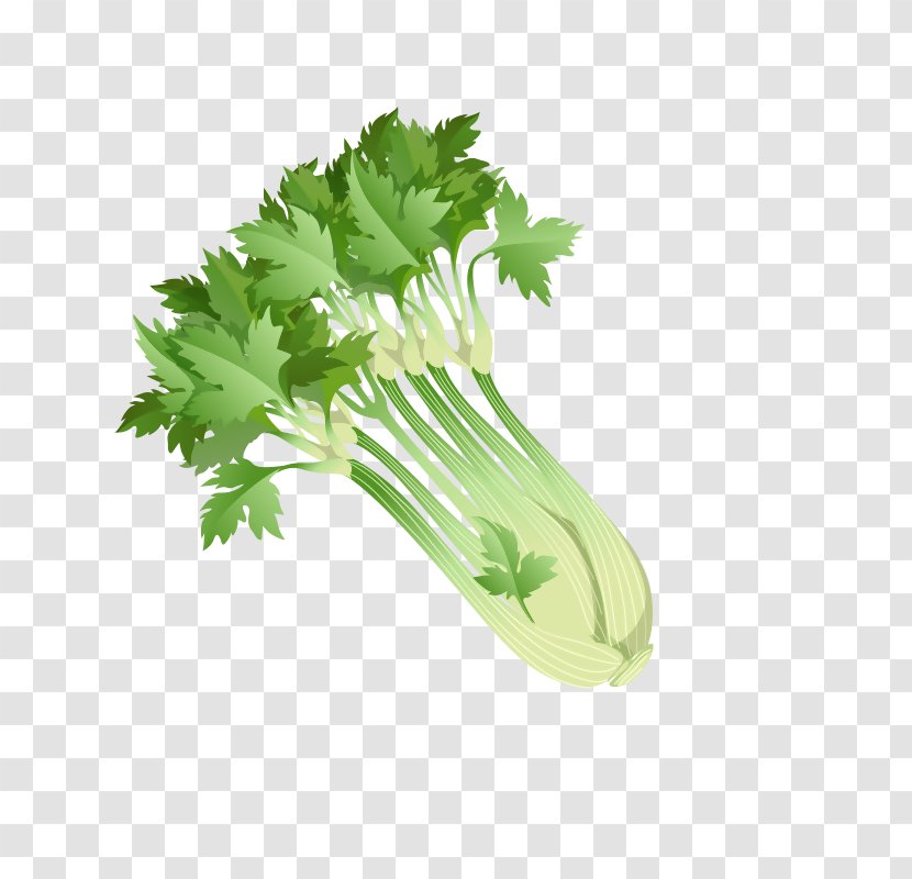 Parsley Celery Shchi Food Vegetable - Herb - Green Veggies Transparent PNG