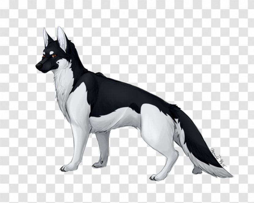 Dog Breed Karelian Bear Canaan - Black Transparent PNG